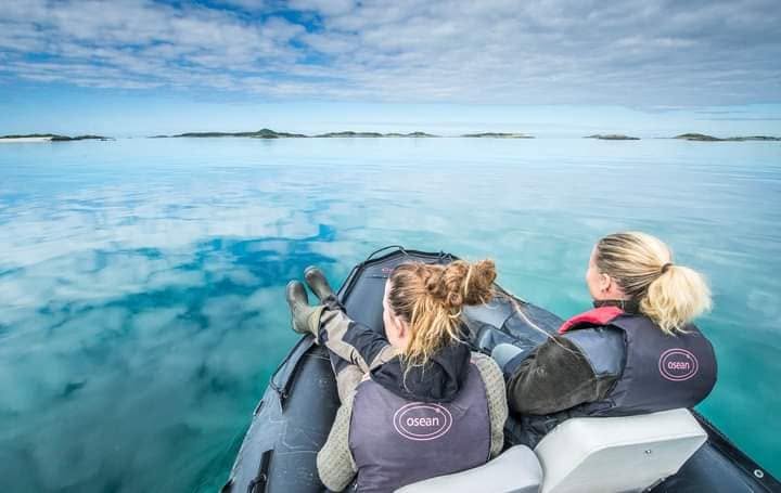 Sortie en zodiac sur le fjord