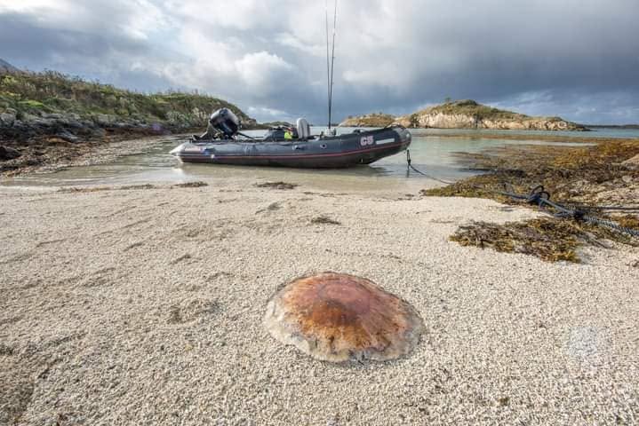 Snorkeling et chasse sous-marine