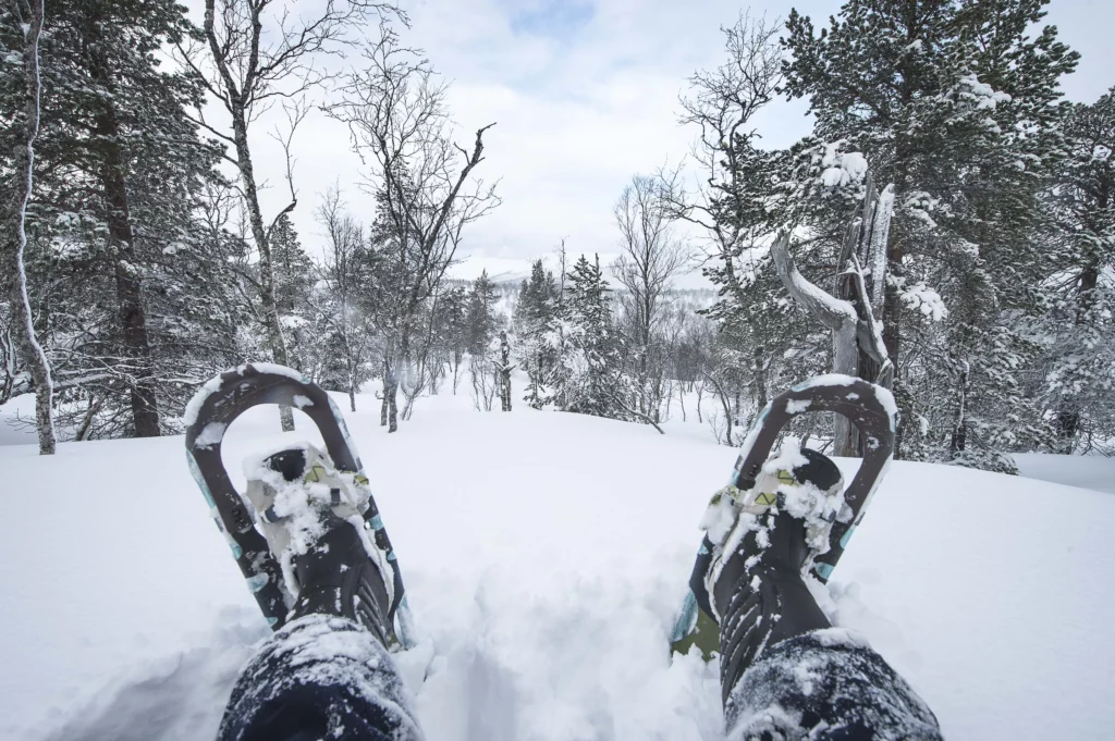 Balade en raquettes à neige en forêt