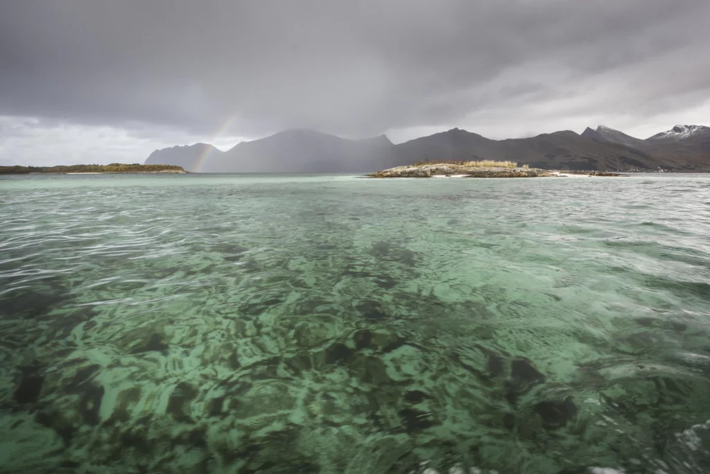 Eau cristalline d’une plage arctique